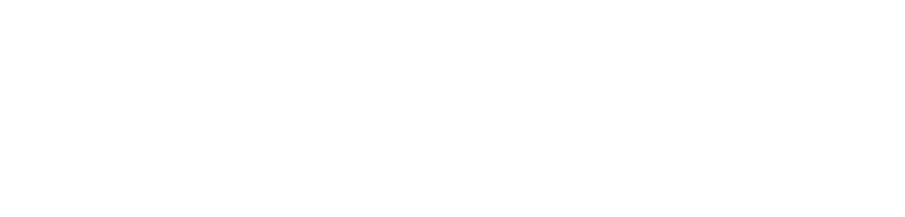 Truckvion